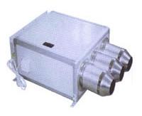 YDF�͇����T���L�C